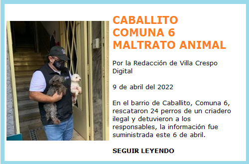 CABALLITO MALTRATO ANIMAL